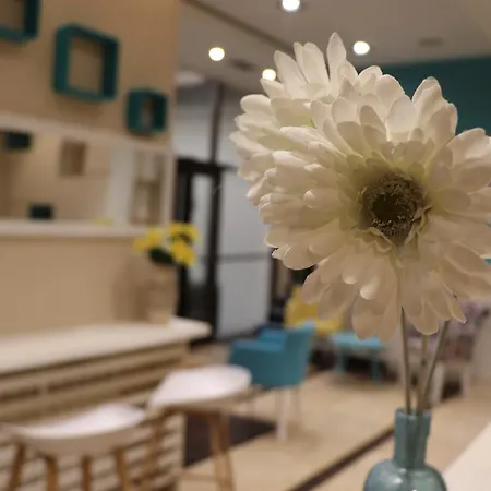 Bed and Breakfast Code In Joy Βελιγράδι