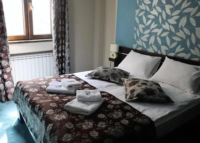 Code In Joy Belgrado