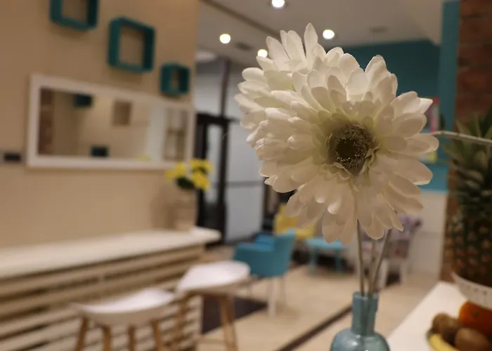 Oda ve Kahvaltı Code In Joy Belgrad